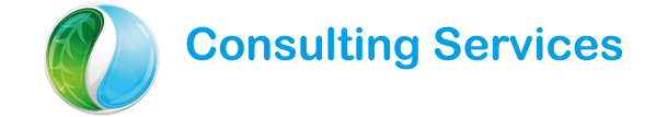 Consulting Services